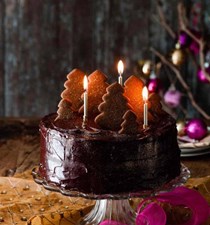 Double fudgey chocolate cake with gingerbread forest