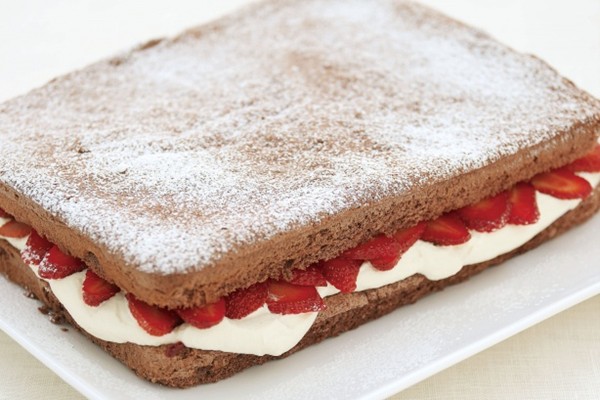 Double-layered chocolate sponge