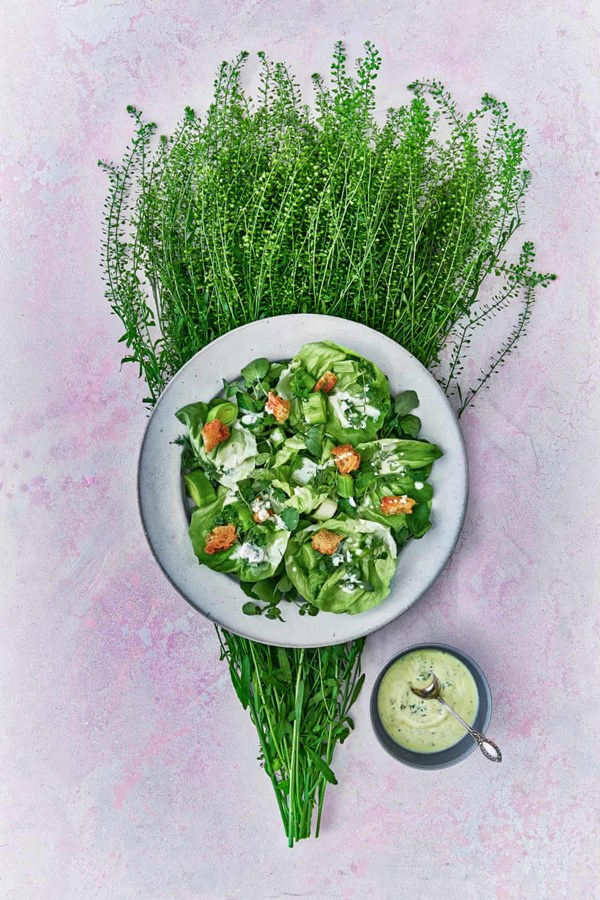 Dressed spring lettuce salad with croutons & leeks