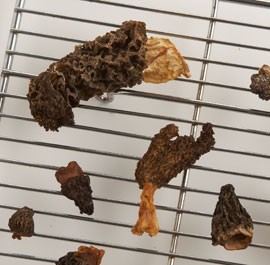 Dried morels