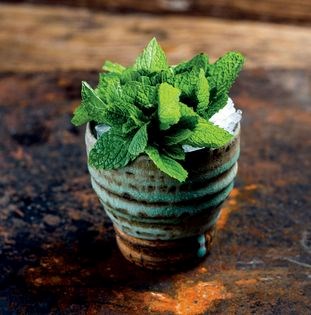 Drunkard mojito