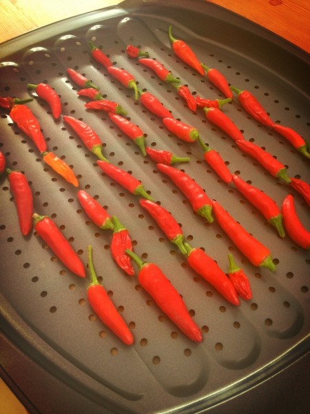 Drying chillies