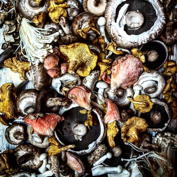 Drying mushrooms