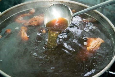 Duck and noodle soup