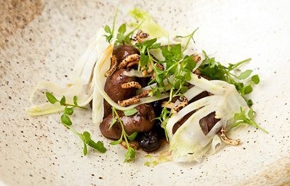 Duck hearts with pickled blueberries, fennel and wild rice