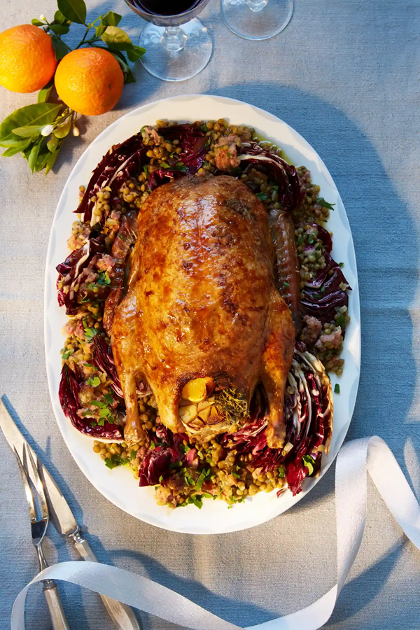 Duck, lentils, dates and radicchio