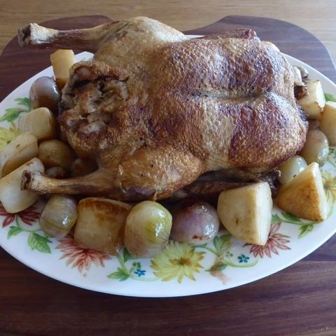 Duck with turnips and onions (Le canard aux navets et aux oignons)