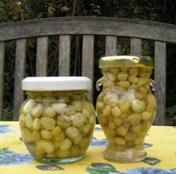 Duncan’s pickled nasturtium seeds