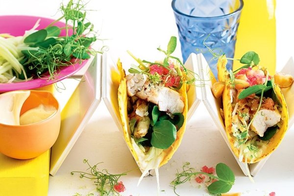 Dusky flathead tortillas with green mango