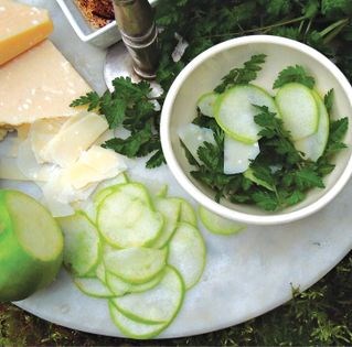 Early spring starter salad