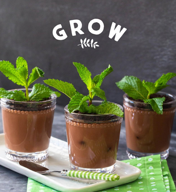 Earth Day dirt cups