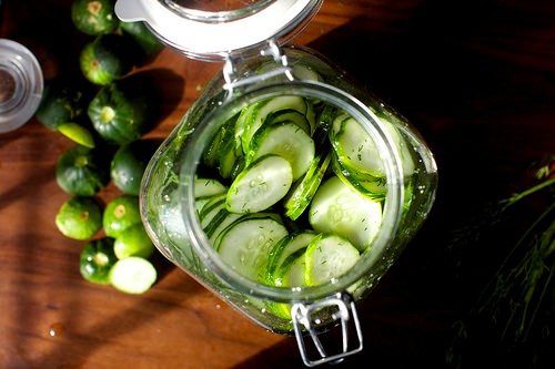 Easiest fridge dill pickles