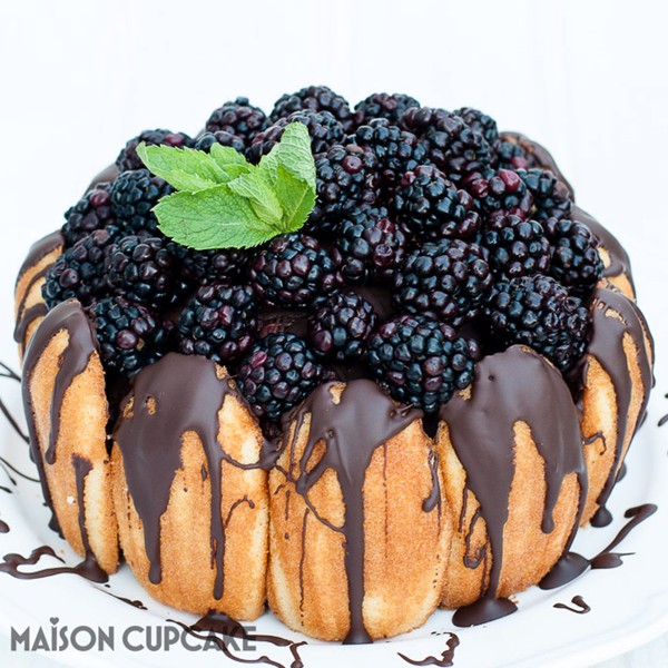Easy chocolate blackberry charlotte dessert