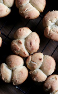 Easy cloverleaf dinner rolls
