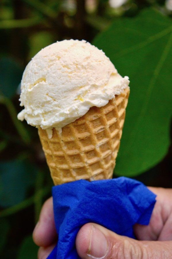 Easy peasy lemon squeezy ice cream