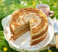 Easy speculoos cake