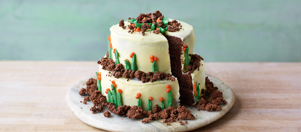 Edible rock garden cake