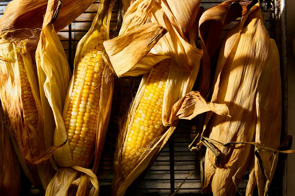 Effortless oven-roasted corn on the cob with husks