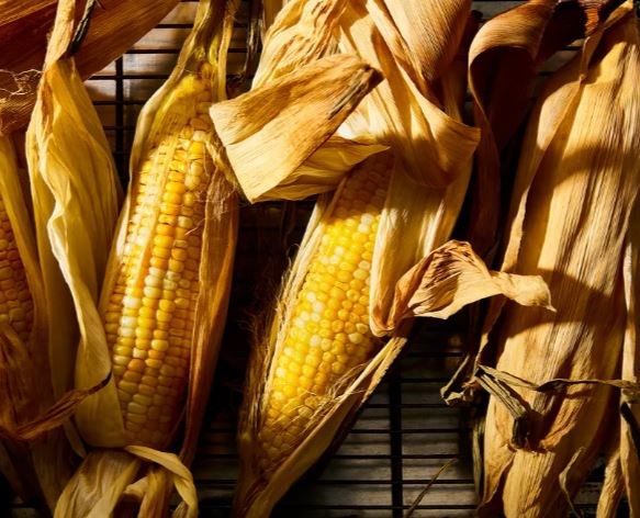 Effortless roasted corn-on-the-cob with husks