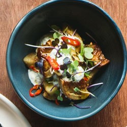 Eggplant, chilli and yoghurt
