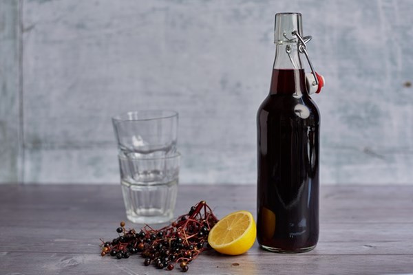 Elderberry cordial