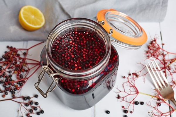 elderberry gin