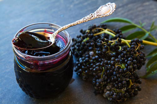 Elderberry jelly