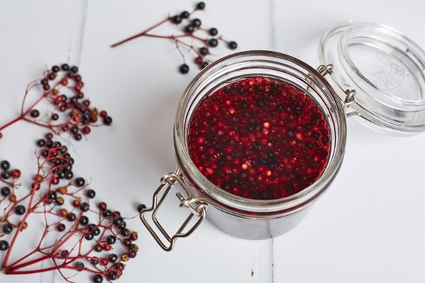 Elderberry vinegar