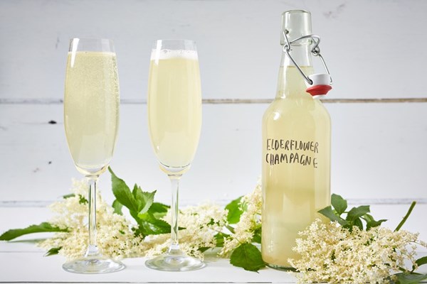  Elderflower Champagne