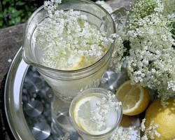 Elderflower cordial
