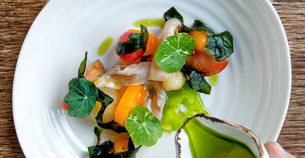 Elderflower-cured mackerel with tomato consommé