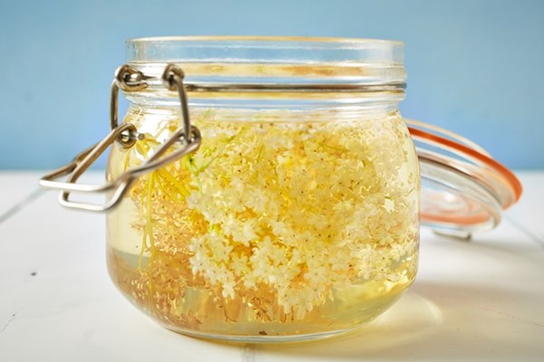 Elderflower gin