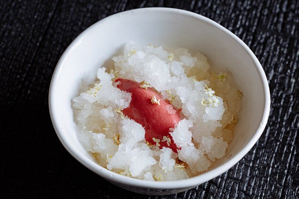 Elderflower panna cotta, wild strawberry sorbet, yoghurt crumble and elderflower vinegar granita