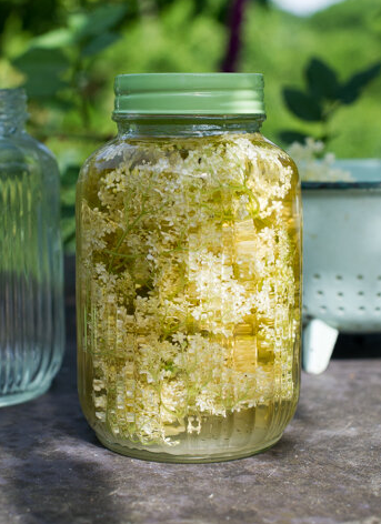 Elderflower vinegar
