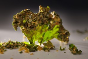 Elizabeth Petty's kale chips