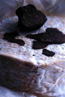 Elmhirst with summer truffles, pickled girolles, buckler sorrel, warm hazelnut toasts
