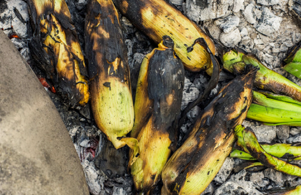 Ember-roasted corn and leeks
