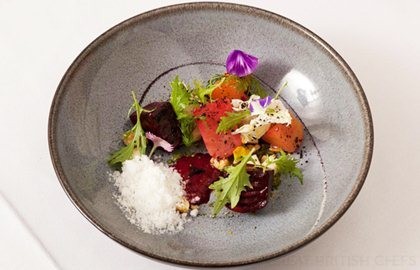 English beetroot with goat's cheese snow, oat biscuits and mizuna