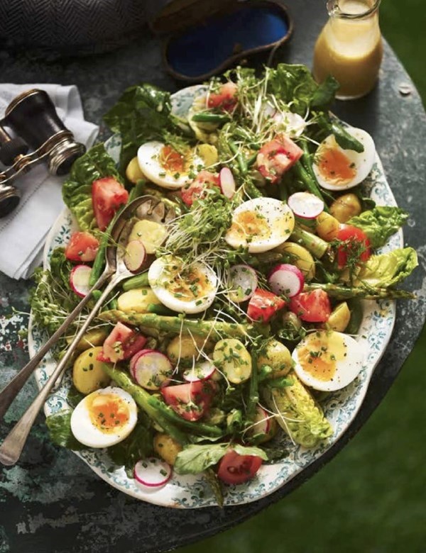 English summer salad
