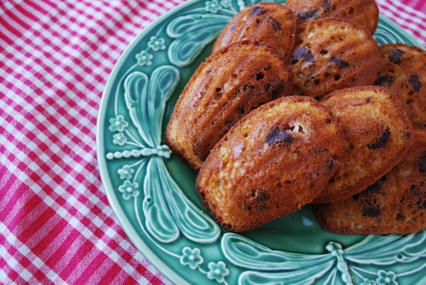 Espresso chip madeleines