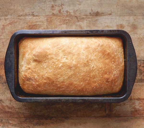 Everyday sandwich bread