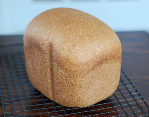 Everyday whole-wheat bread