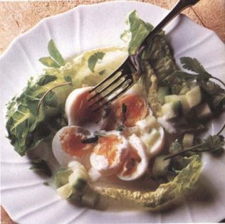 Exotic egg and cucumber salad with coconut and yogurt sauce