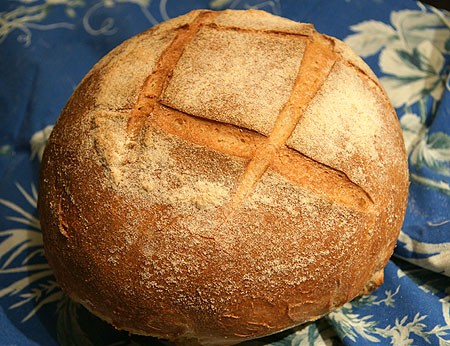 Fall apple sourdough starter (Levain aux pommes)