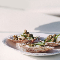 Falmouth Bay queen scallops ceviche with capers and samphire