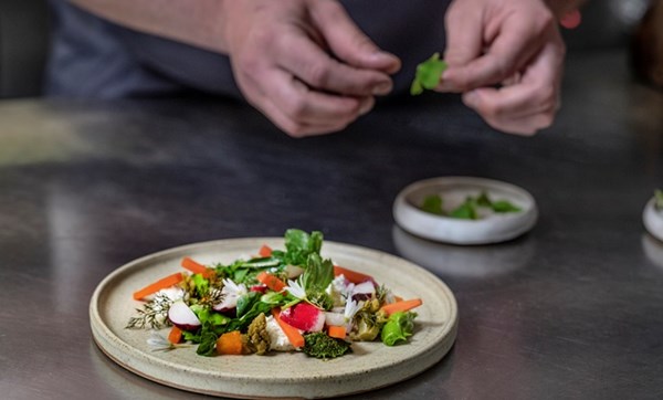 Farm salad