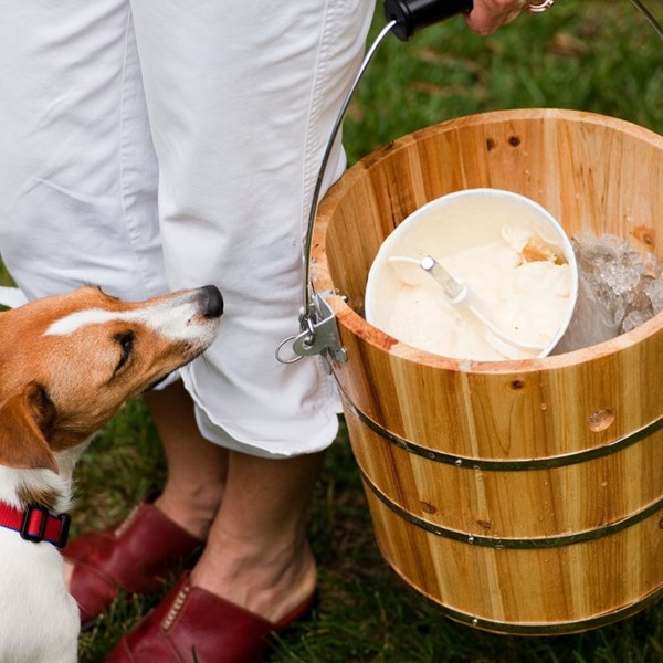 Farm-stand peach ice cream
