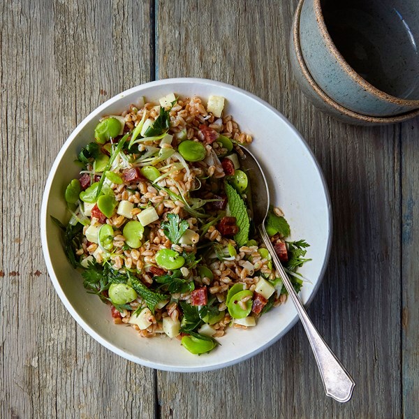 Farro