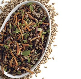 Farro and beluga lentil pilaf with ginger and cilantro