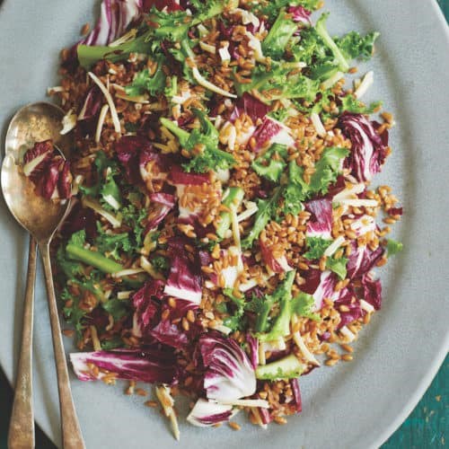 Farro and mixed chicories salad